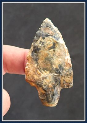 ~ Multi-Colored ~ Marion Point ~