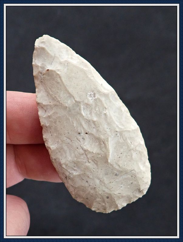 ~ Dunedin ~ Pinellas Co. Florida ~ Cowhouse Slough Blade ~