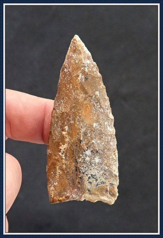 ~ Orange &amp; Brown ~ Safety Harbor Blade ~