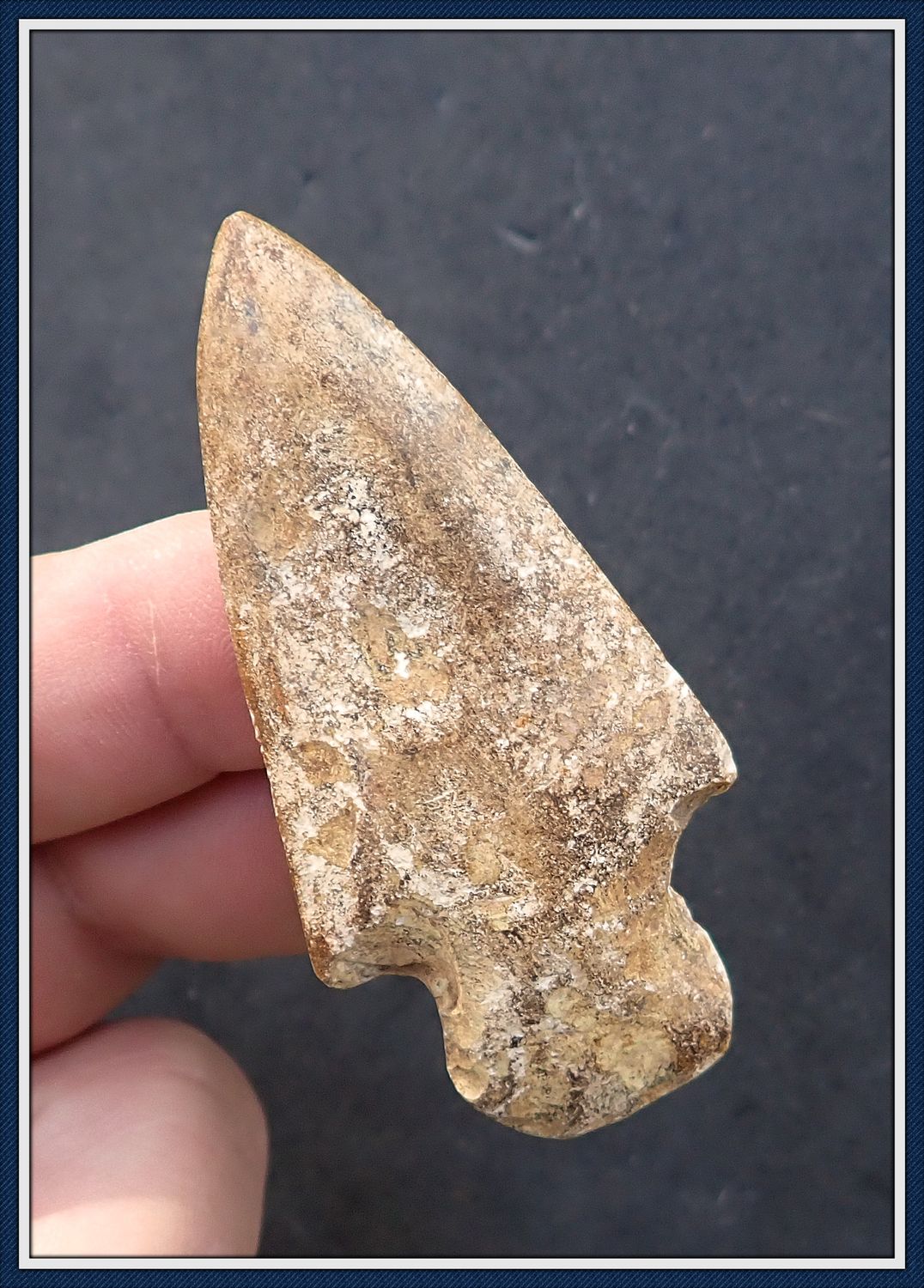 ~ Rare Intentionally ~ Polished ~ Boggy Branch Point ~