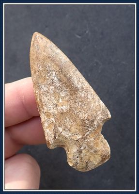 ~ Rare Intentionally ~ Polished ~ Boggy Branch Point ~