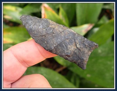 ~ Florida ~ Paleo Simpson Spear Point ~