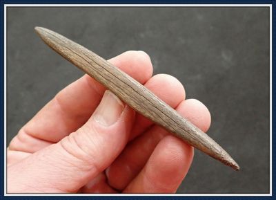 ~ 4 1/4" Long Bone Harpoon Tip ~ Taylor Co. Florida ~ 3