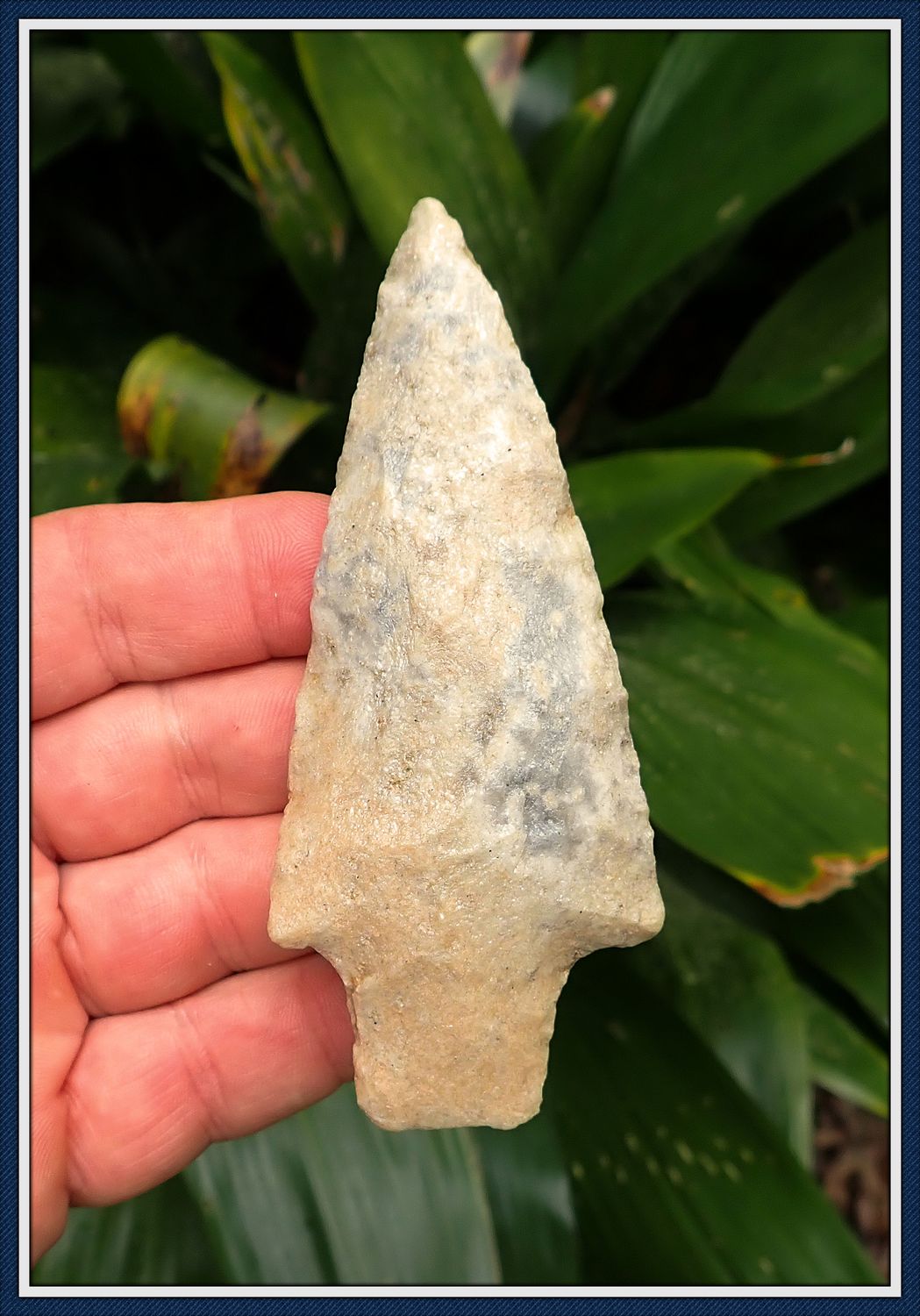 ~ Tallahatta Quartzite ~ Over 4" ~ Pickwick Point ~