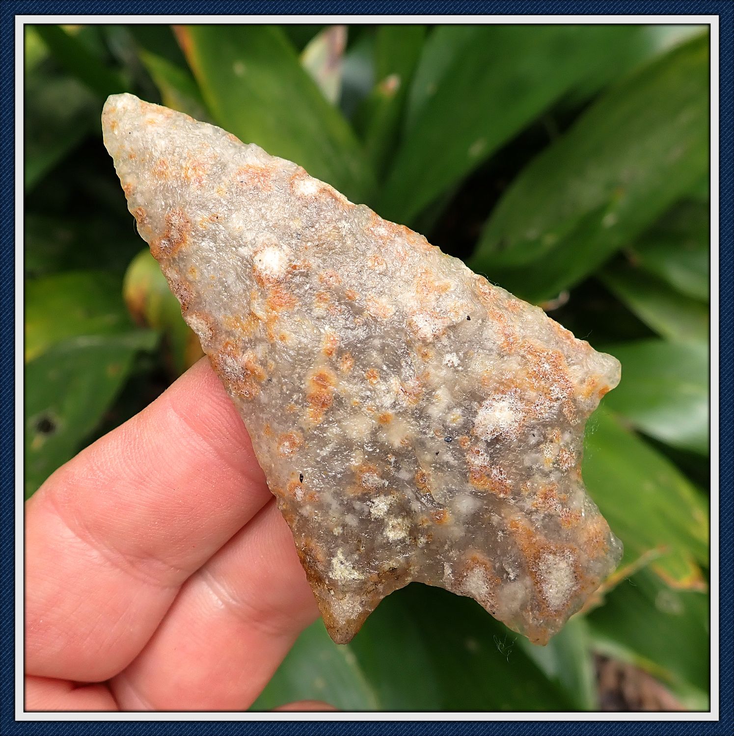 ~ Tallahatta Quartzite ~ Highly Translucent ~ Pickwick Point ~