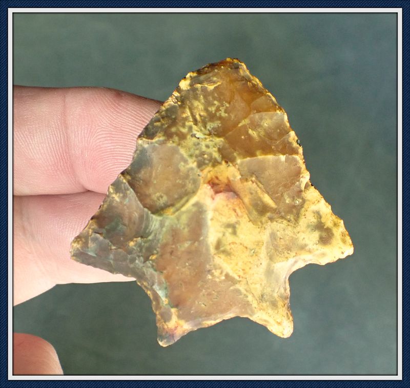 Orange &amp; Gold Wacissa ~ Jackson Co. Florida