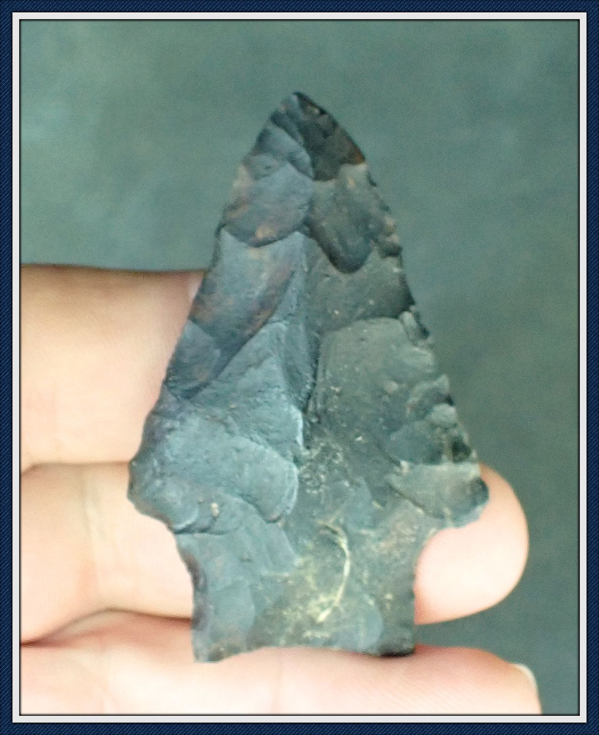 ~ Black Tannin Stained ~ Creek Find ~ Florida Wacissa ~