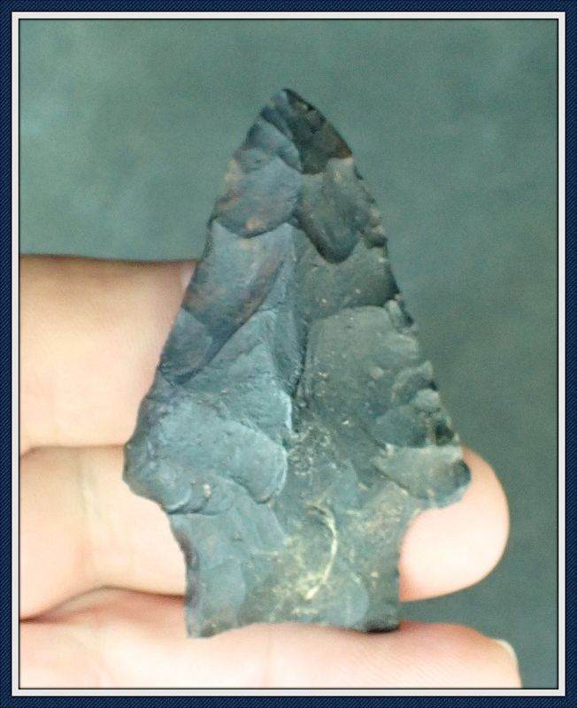 ~ Black Tannin Stained ~ Creek Find ~ Florida Wacissa ~