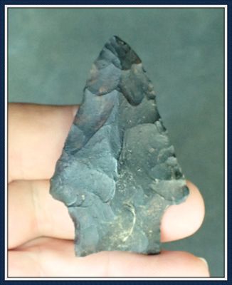 ~ Black Tannin Stained ~ Creek Find ~ Florida Wacissa ~