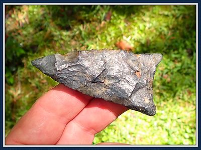 ~ 2 1/2" Translucent Gold ~ Suwannee Point ~ Restored Tip ~