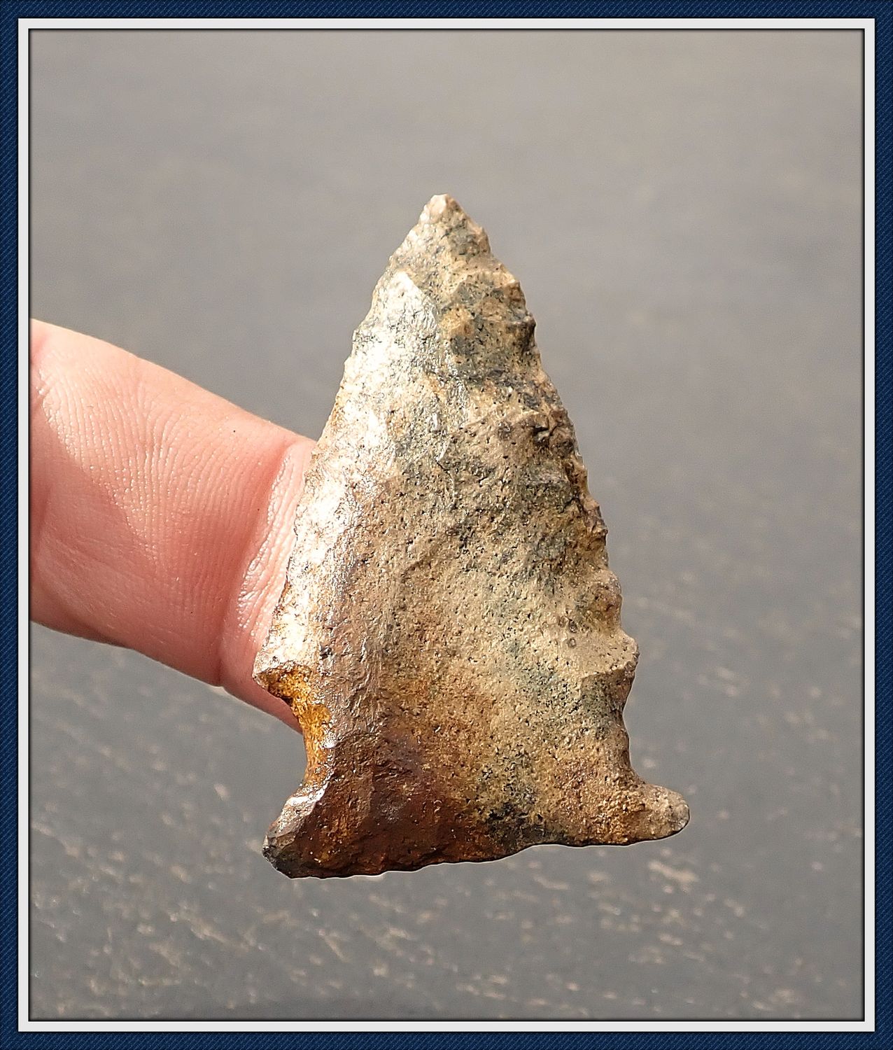 ~ Hillsborough River Basin ~ Greenbrier Spear Tip ~