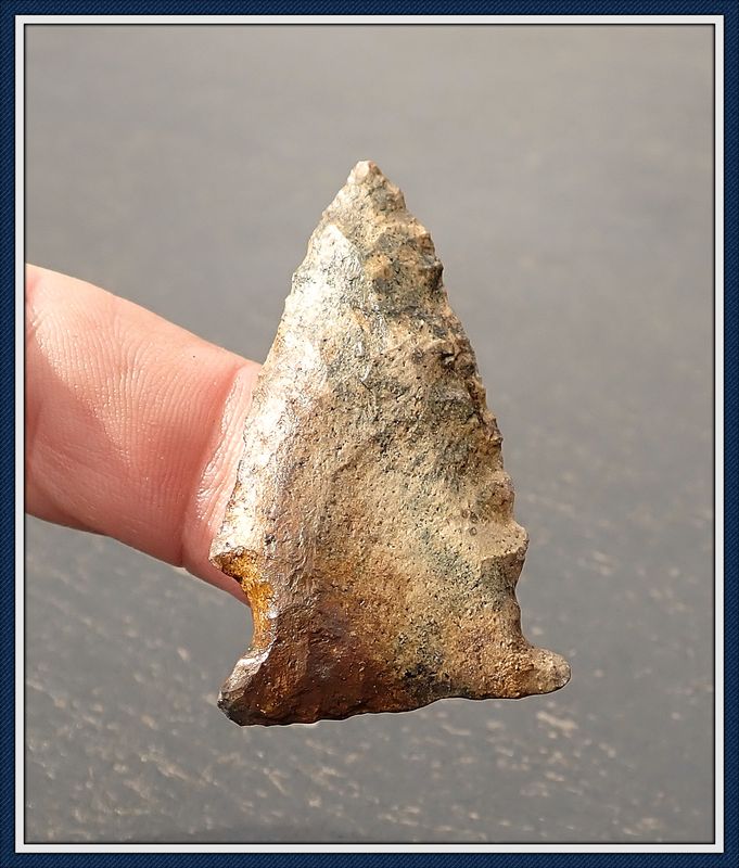 ~ Hillsborough River Basin ~ Greenbrier Spear Tip ~