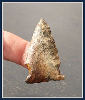 ~ Hillsborough River Basin ~ Greenbrier Spear Tip ~