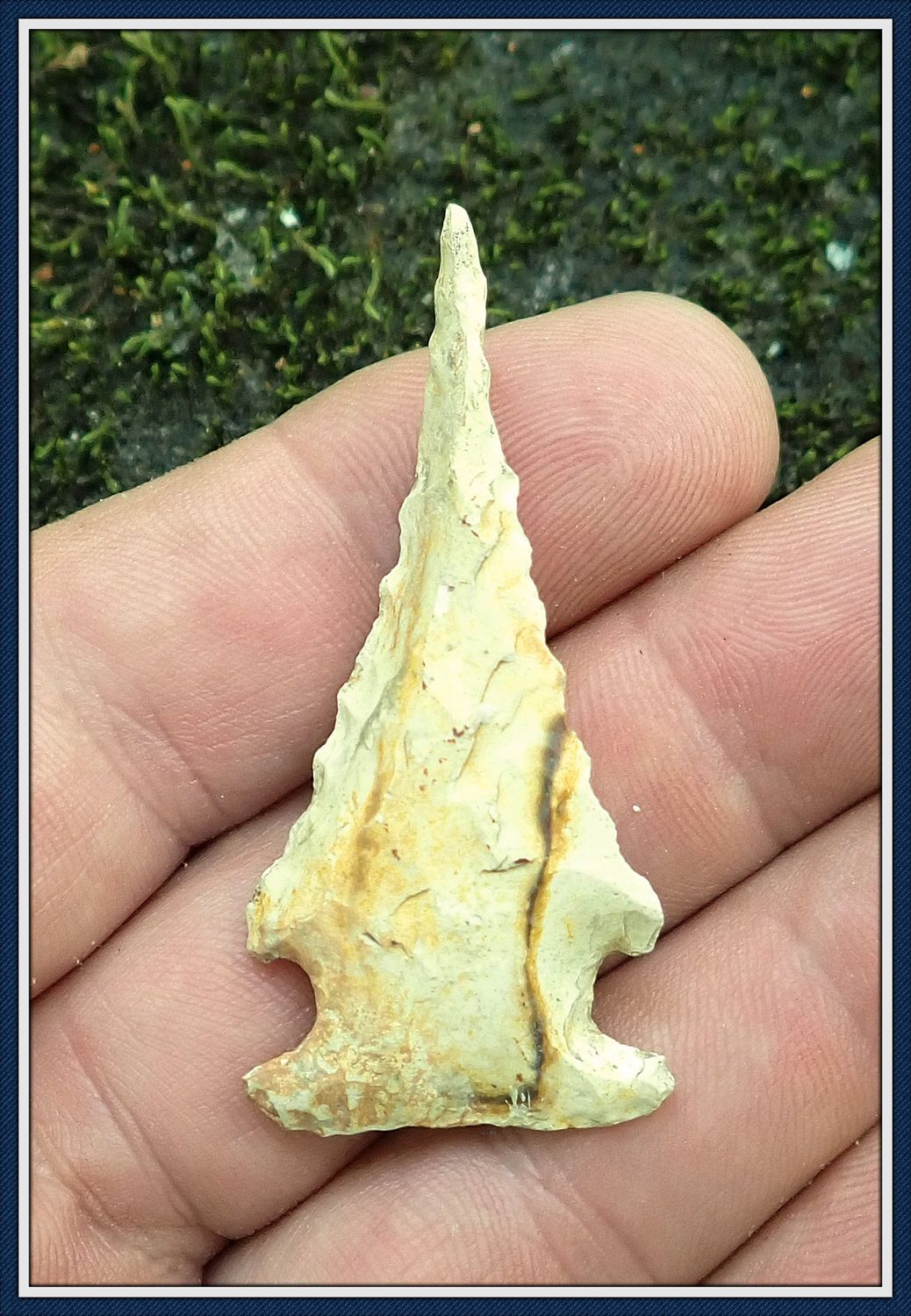 ~ Restored South Georgia Bolen ~ 3