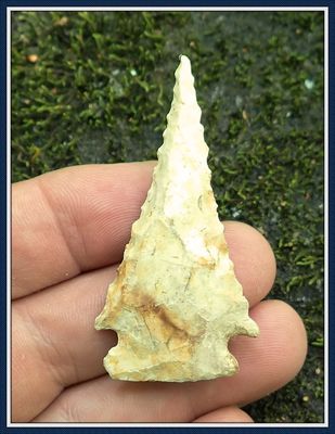 ~ Restored South Georgia Bolen ~ 4