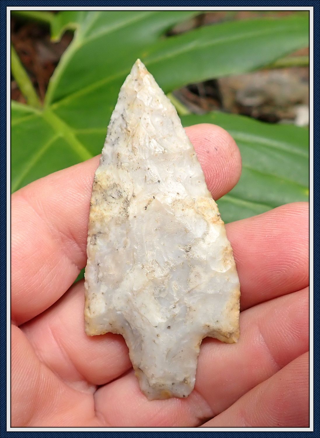 ~Pinellas Co. Florida ~ Newnan Spear Tip ~