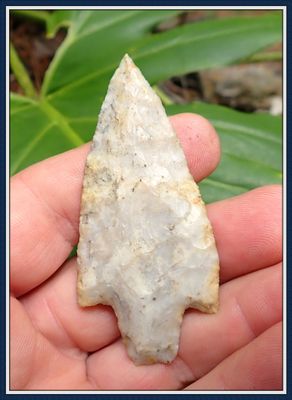 ~Pinellas Co. Florida ~ Newnan Spear Tip ~