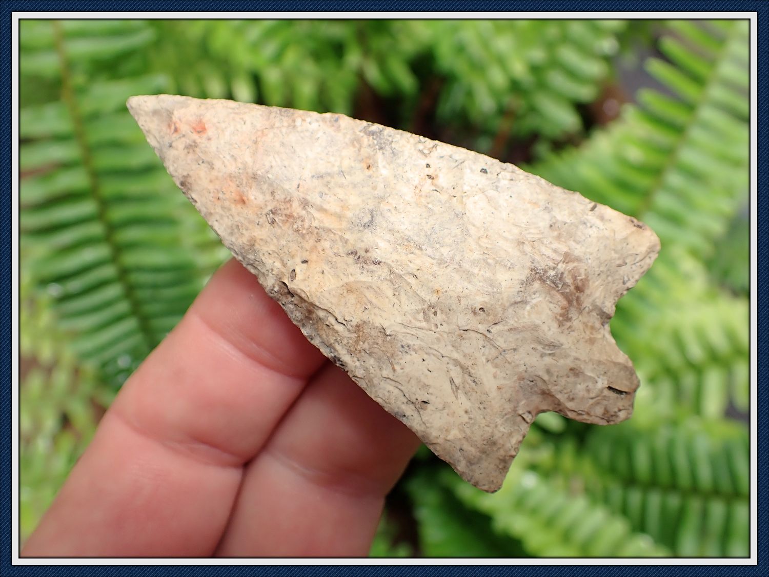 ~ Hillsborough Spear ~ With Embedded Fossil Inclusions ~