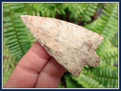 ~ Hillsborough Spear ~ With Embedded Fossil Inclusions ~