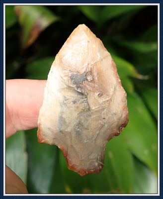 ~ Cream Colored ~ Coral Sumter Point ~ Trimmed in Orange ~
