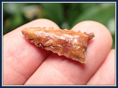 ~ 1" Serrated ~ Pinellas Arrowhead ~