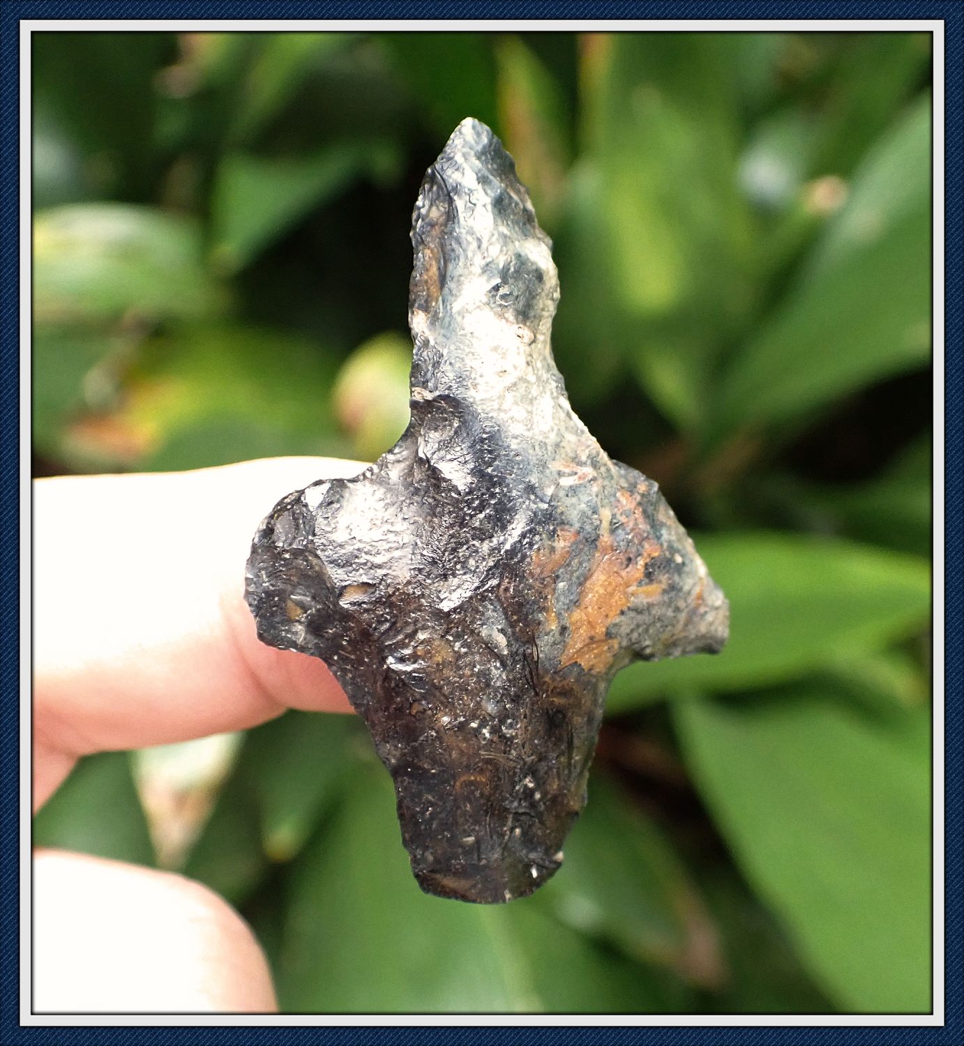 ~ Coral Newnan ~ Drill Bit ~ SOLD