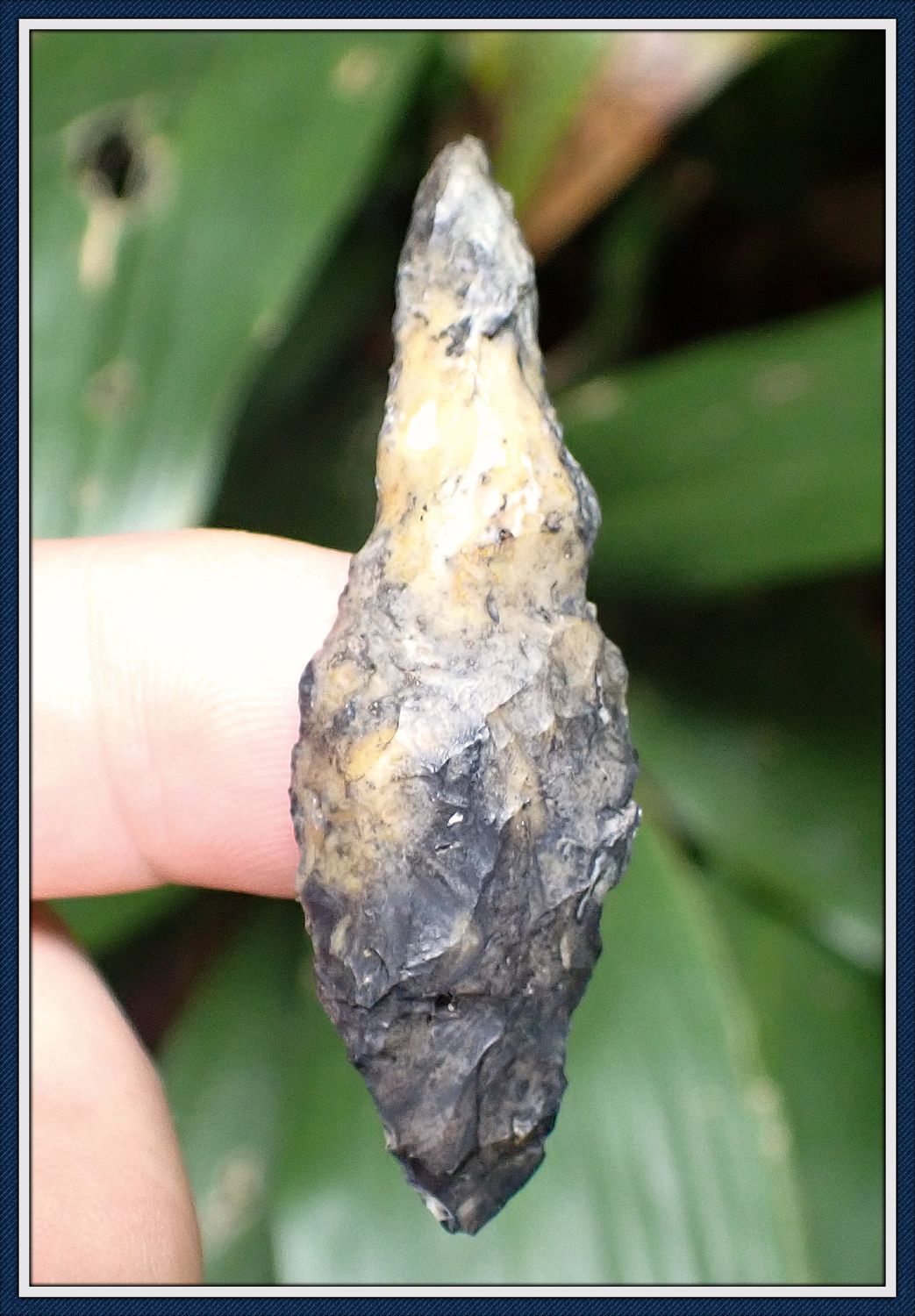 ~ Woodland Era ~ Drill Bit ~