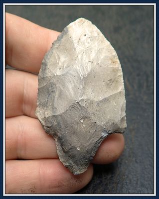 ~ White Tipped ~ Sumter Point ~