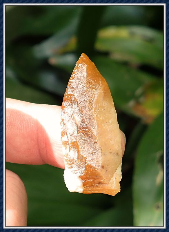 ~ Translucent Amber ~ Pinellas Point ~