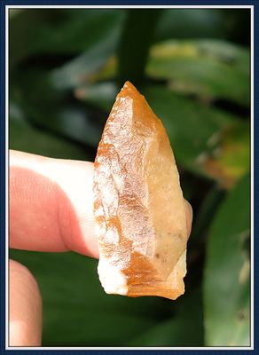 ~ Translucent Amber ~ Pinellas Point ~