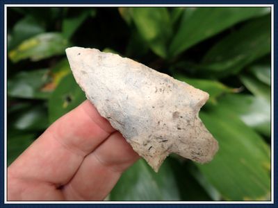 ~ 3"  Newnan Point ~