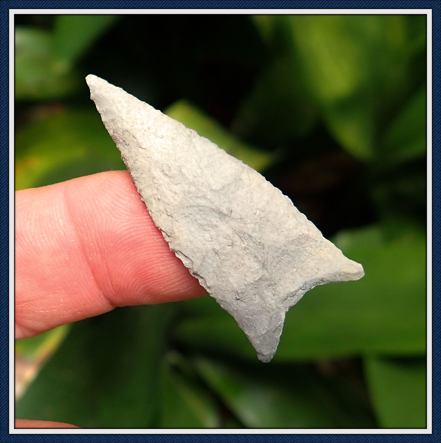 ~ Restored Ear Choctawhatchee Point ~