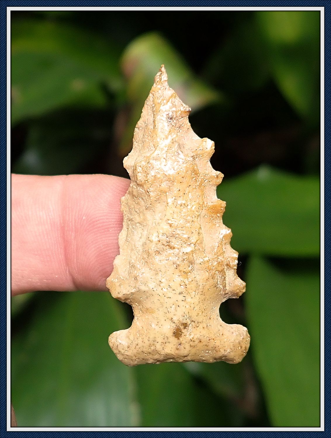 ~ Russell Co. Alabama ~ Big Sandy Point ~ ON HOLD