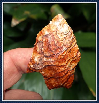 ~ Worth Co. Georgia ~ Amazing Banded Hamilton ~