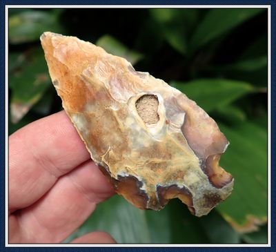 ~ Worth Co. Georgia ~ Crazy Colored Pickwick ~
