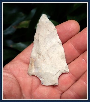 ~ 2 3/4" North Florida ~ Levy Knife Point ~