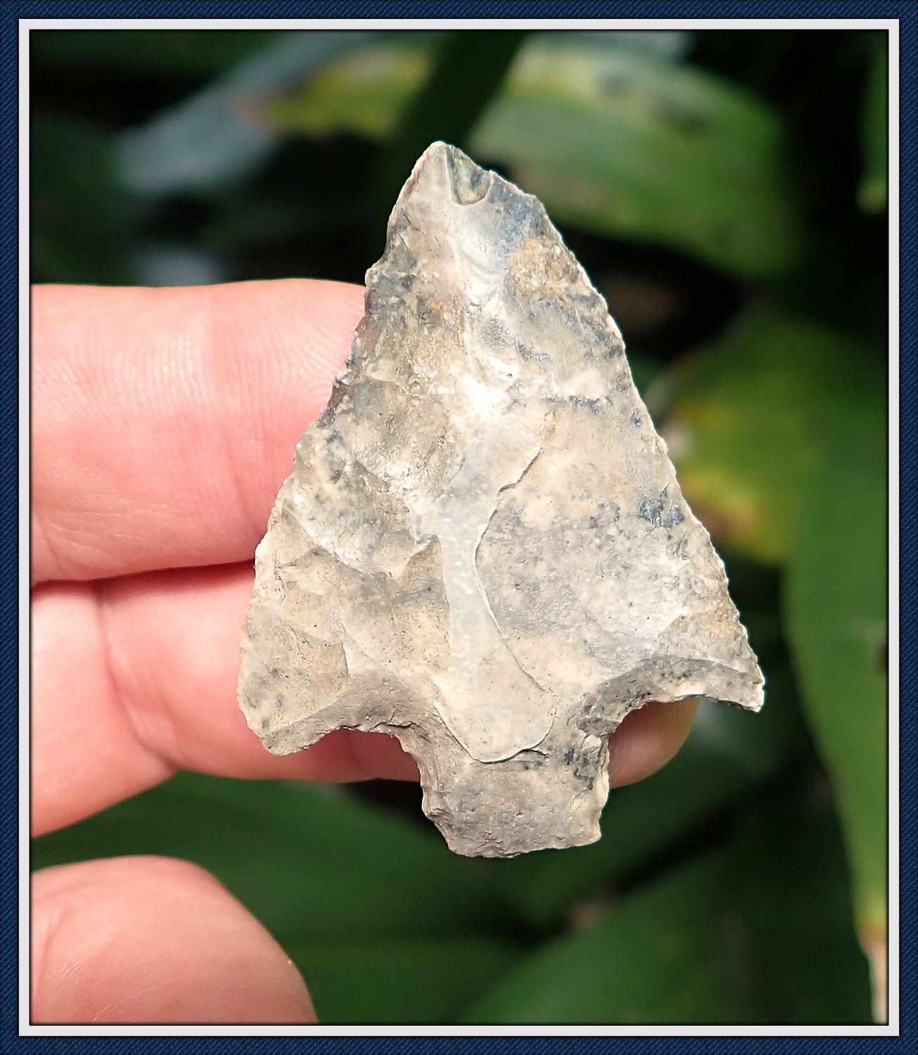 ~ 1 7/8" Cypress Creek Dart Point ~