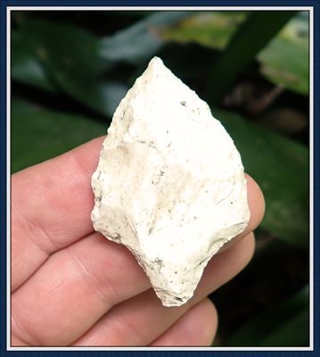 ~ 2 1/4" White Coral ~ Sumter Point ~