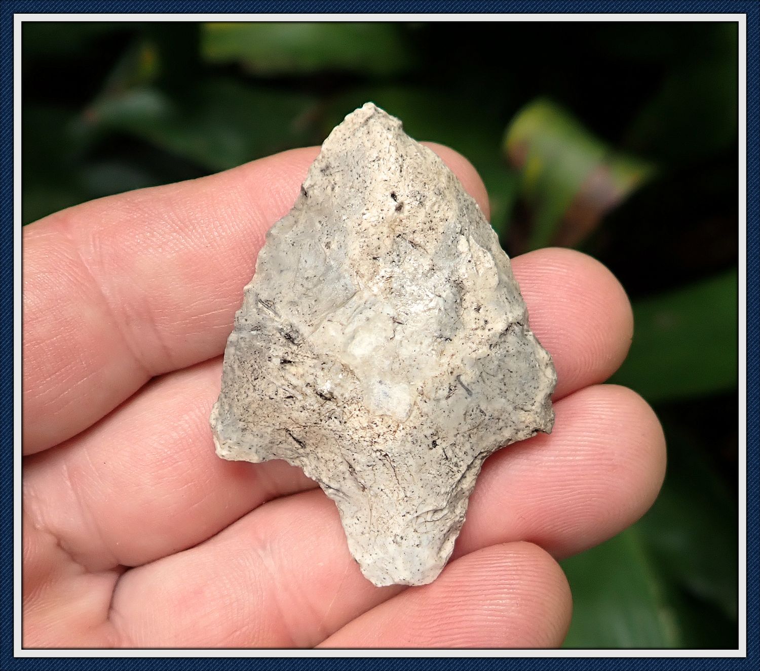 ~ 2"  Newnan Point ~