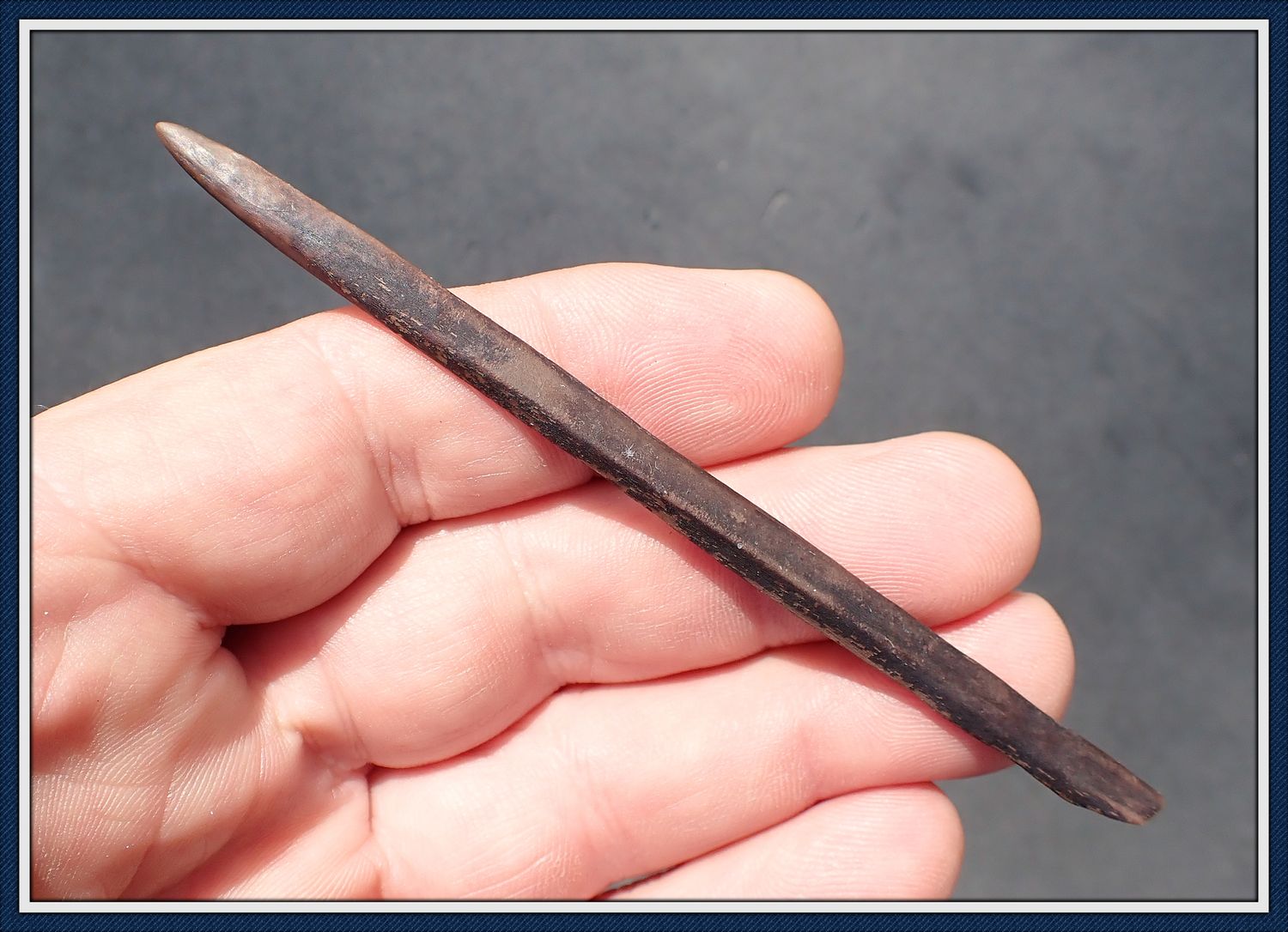 ~ 4 1/4" Bone Harpoon Tip ~ Taylor Co. Florida ~ 8