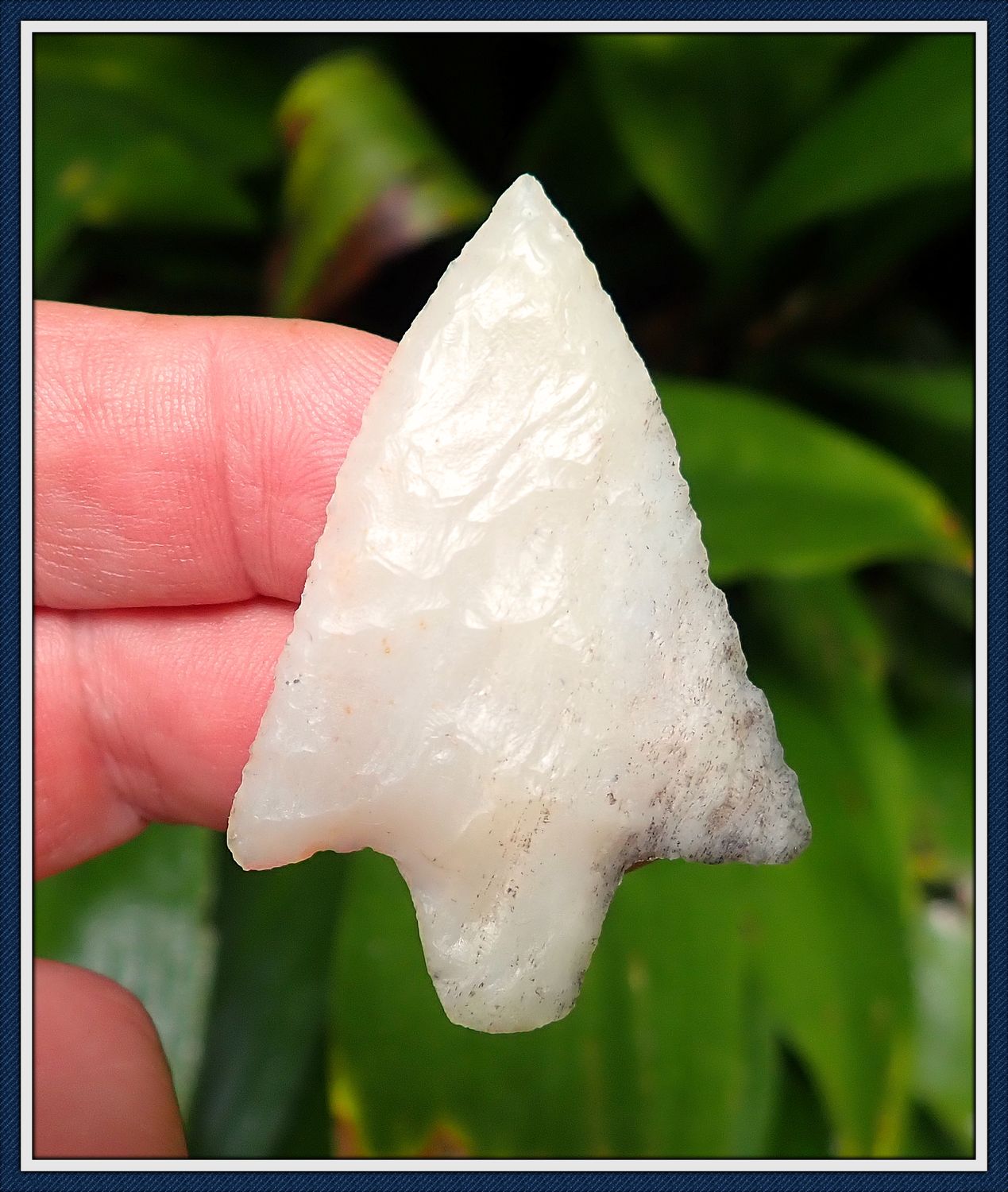 ~ 2 1/4" Killer Translucent ~ Coral Newnan Point ~