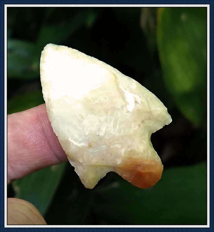 ~ 2 1/16&quot; Sweet Translucent ~ Coral Newnan Point ~