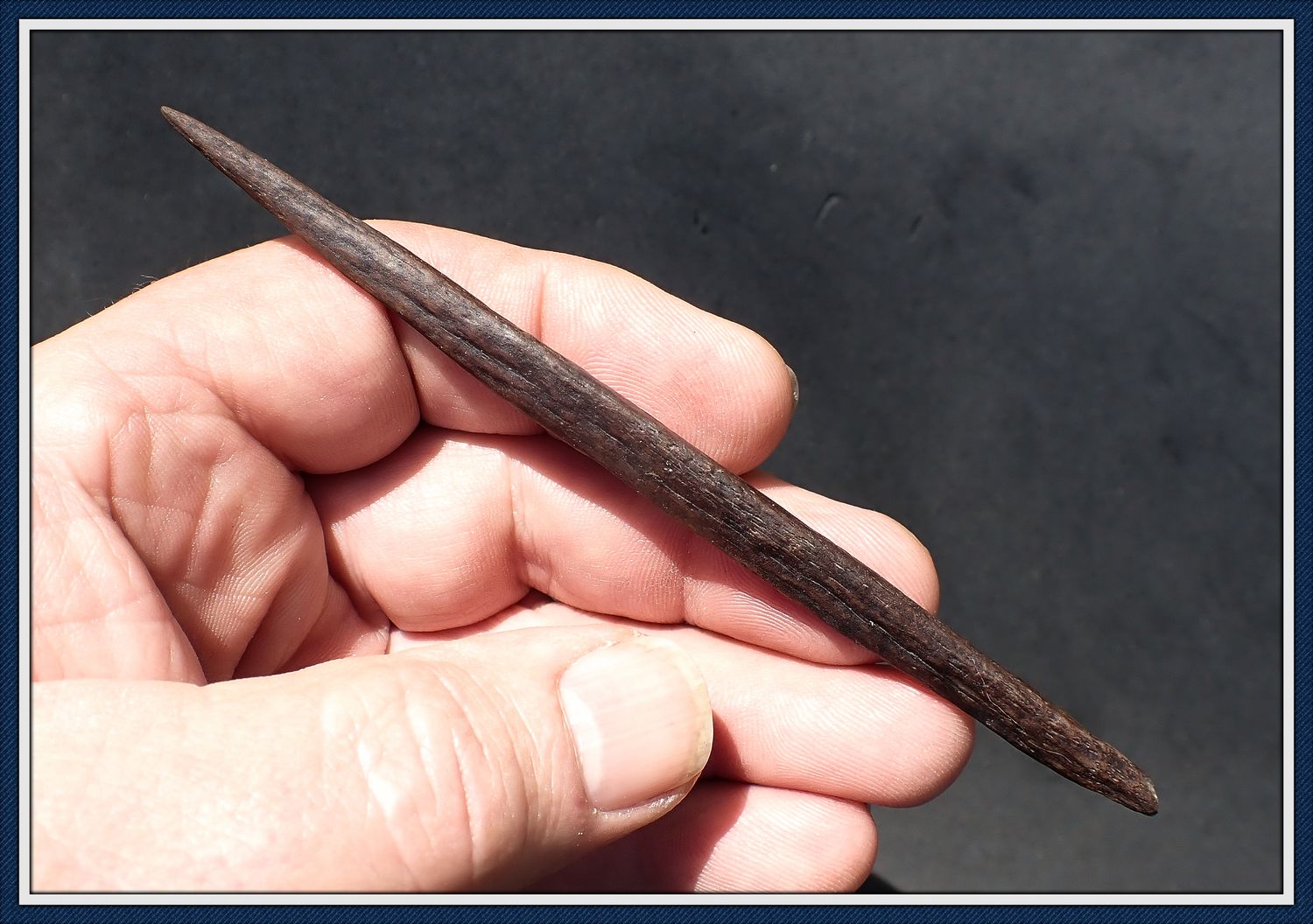 ~ 5" ~ Bone Harpoon Tip ~ Taylor Co. Florida ~