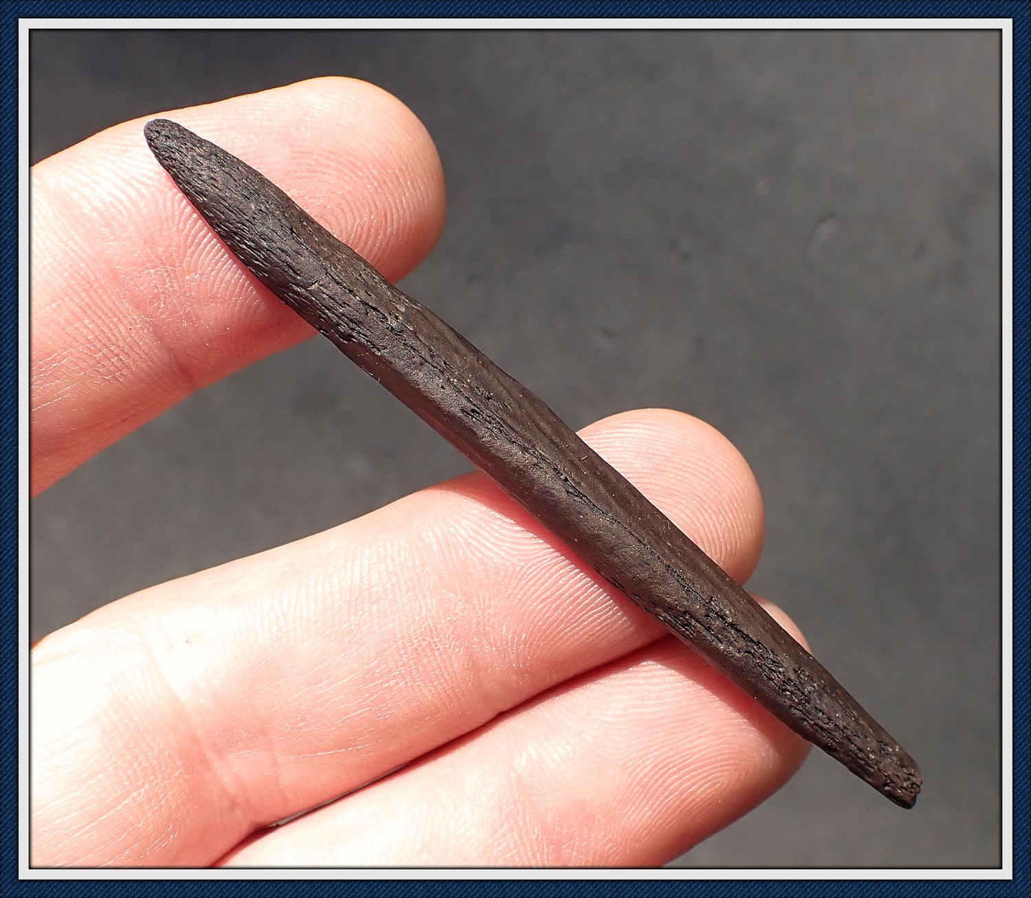 ~ 3" ~ Bone Harpoon Tip ~ Taylor Co. Florida ~