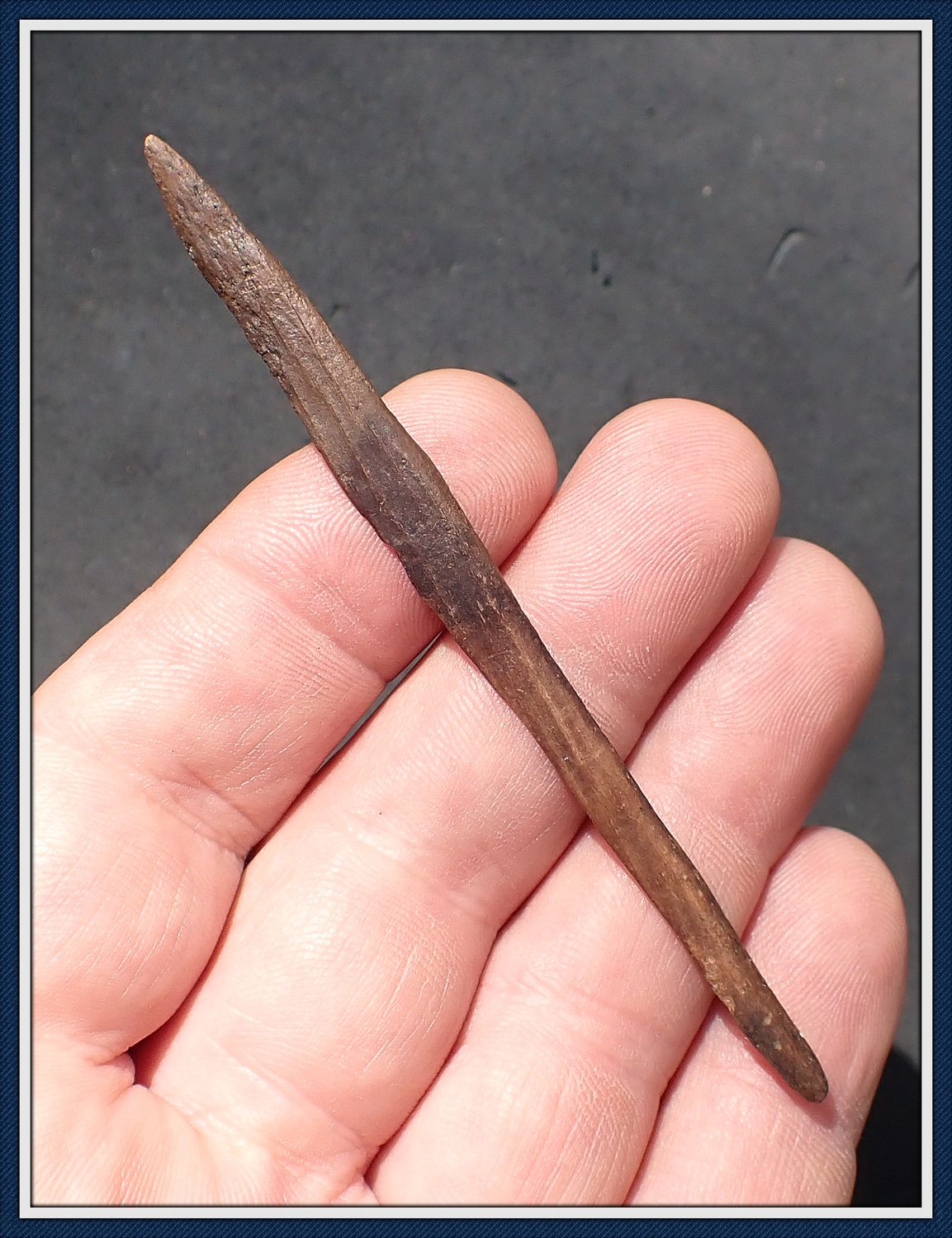 ~ 3 3/4&quot; ~ Super Thin ~ Bone Harpoon Tip ~ Taylor Co. Florida ~
