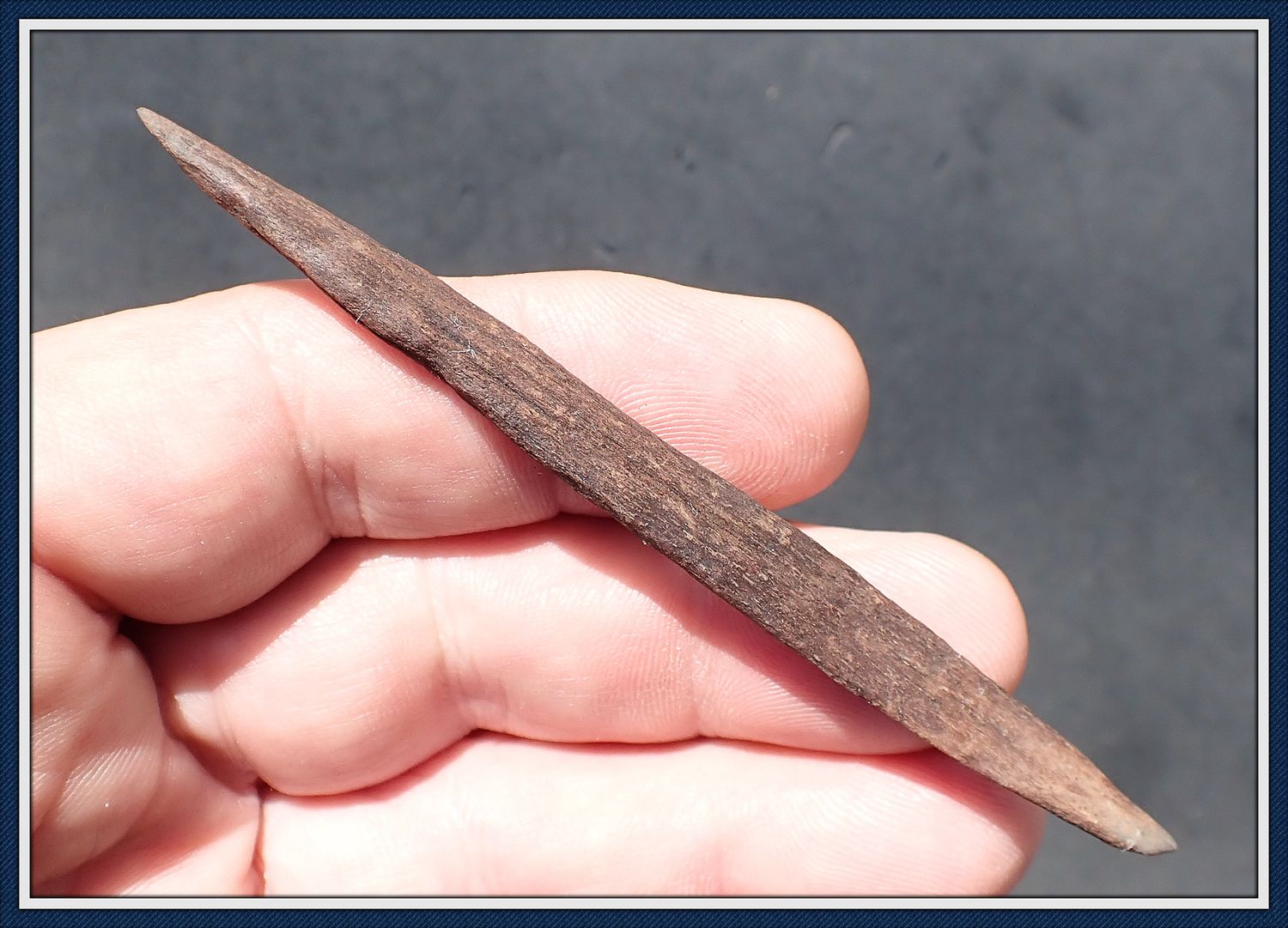 ~ 3 3/4&quot; ~ Bone Harpoon Tip ~ Taylor Co. Florida ~ 26