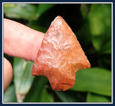 ~ 1 3/4 ~ Orange Coral ~ Newnan Atlatl Dart Point ~