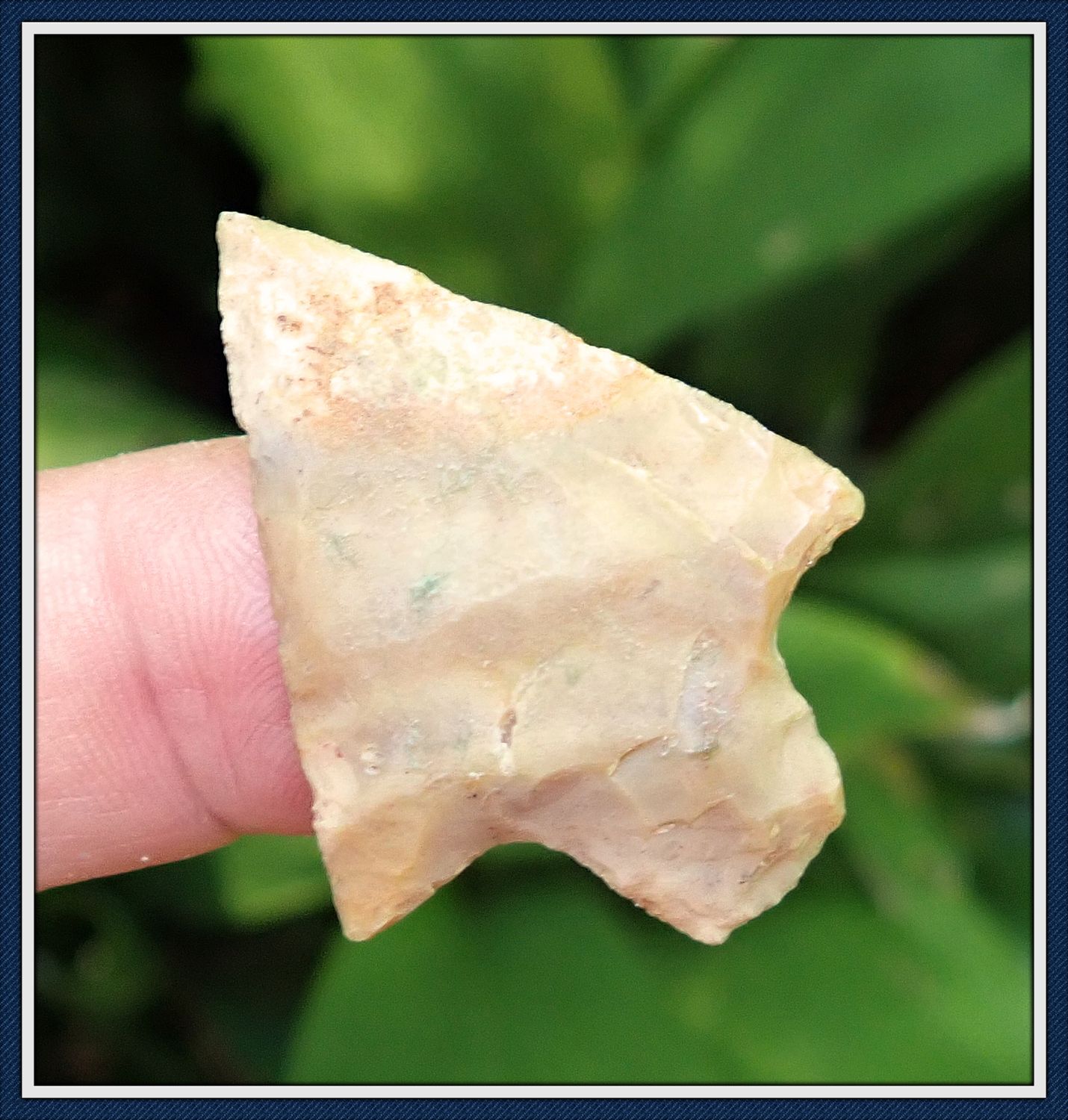 ~ Banded Chert Newnan ~ Atlatl Dart Point ~