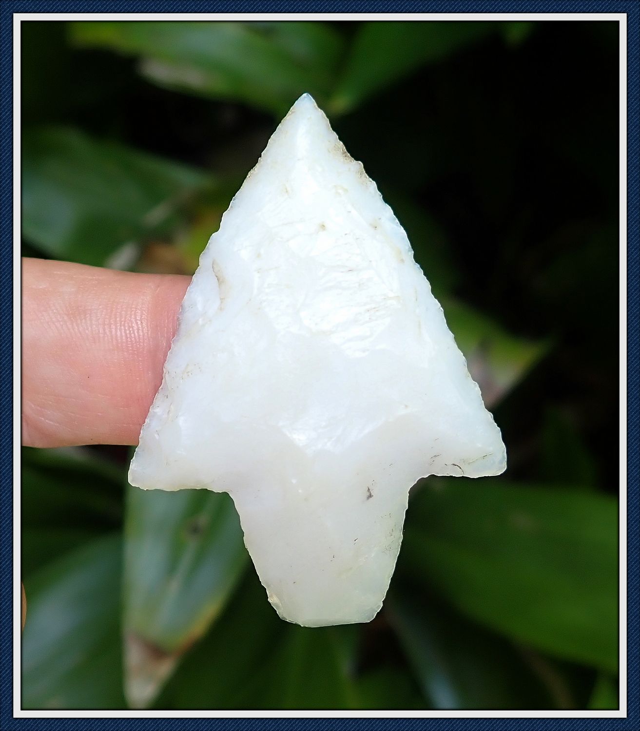 ~ Cake Icing ~ Coral Newnan ~ Atlatl Dart Point ~