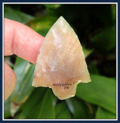 ~ Amber Translucent Coral Newnan ~ Atlatl Dart Point ~